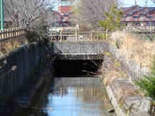 橋の上から見ると分かるが、小川の下が用水路になっていておもしろい構造[📸20年03月]