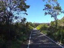 羽咋健民自転車道（起点～柴垣休憩所）[📸20年11月]