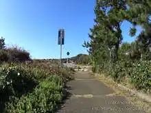 羽咋健民自転車道（起点～柴垣休憩所）[📸20年11月]