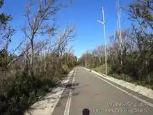 羽咋健民自転車道（柴垣休憩所～高浜休憩所）[📸20年11月]