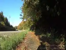 羽咋健民自転車道（高浜休憩所～米町休憩所）[📸20年11月]