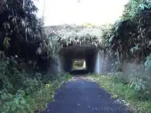 羽咋健民自転車道（米町休憩所～三明休憩所）[📸20年11月]
