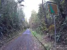 緩い登りが続く[📸20年11月]