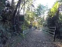 道は下りに、カメの看板もスピード注意に変わる[📸20年11月]