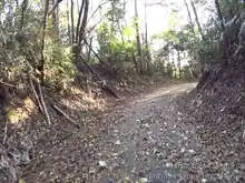 羽咋健民自転車道（三明休憩所～終点）[📸20年11月]