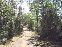 自転車道は再び森の中へ[📸20年09月]