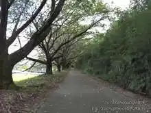 水辺の回廊[📸20年09月]