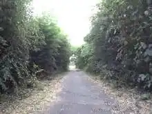 水辺の回廊[📸20年09月]