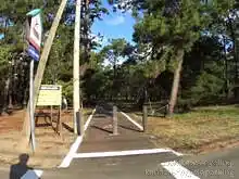 自転車道は防風林の森の中[📸20年09月]