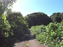 小松加賀健民自転車道[📸20年09月]