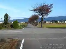 ここからの並木道は自動車も通れるもよう[📸19年11月]