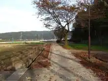 そろそろ道は終盤[📸19年11月]