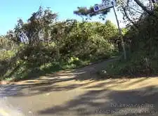 自転車道は右に入[📸20年11月]