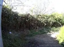 能登海浜自転車道（志雄PA～終点）[📸20年11月]