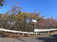 休暇村への道を横断[📸20年11月]