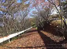 能登海浜自転車道（志雄PA～終点）[📸20年11月]