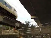 在来線を特急列車が走り去る[📸19年11月]