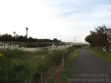 再び土手へ登る。[📸19年11月]