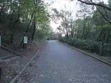 公園内の大通りを道なりに進む[📸19年11月]