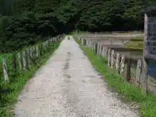 石川県森林公園 サイクリングロード[📸22年09月]