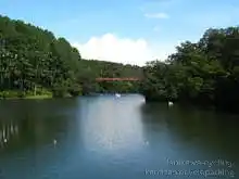 石川県森林公園 サイクリングロード[📸22年09月]