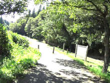 石川県森林公園 サイクリングロード[📸22年09月]