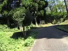 石川県森林公園 サイクリングロード[📸22年09月]
