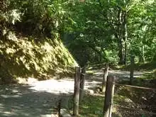 石川県森林公園 サイクリングロード[📸22年09月]