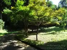 石川県森林公園 サイクリングロード[📸22年09月]