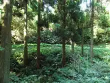 石川県森林公園 サイクリングロード[📸22年09月]