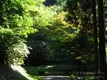 石川県森林公園 サイクリングロード[📸22年09月]