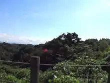 石川県森林公園 サイクリングロード[📸22年09月]