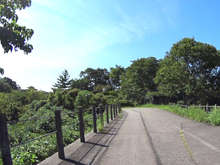 石川県森林公園 サイクリングロード[📸22年09月]