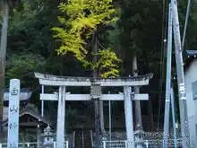金名線は鳥居の中を横切っていたらしい。列車が走るのを想像するとなんだか凄い絵図。[📸19年11月]