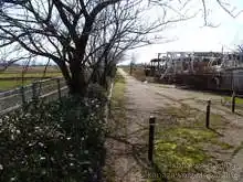水路沿いを進む[📸20年03月]