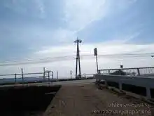 道路を横断[📸20年03月]